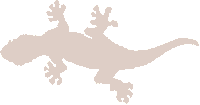 The Chameleon
